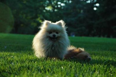 Sept10d_04_267.JPG