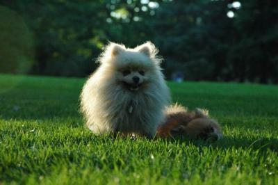 Sept10d_04_268.JPG
