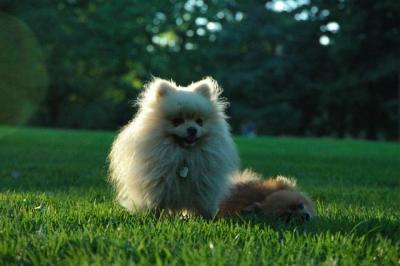 Sept10d_04_269.JPG