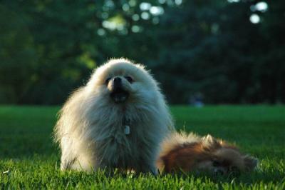 Sept10d_04_274.JPG