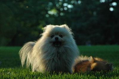 Sept10d_04_277.JPG