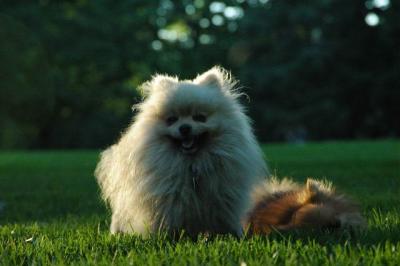 Sept10d_04_280.JPG