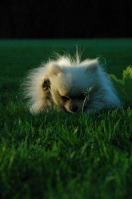 Sept10d_04_298.JPG