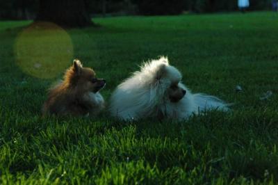 Sept10d_04_324.JPG