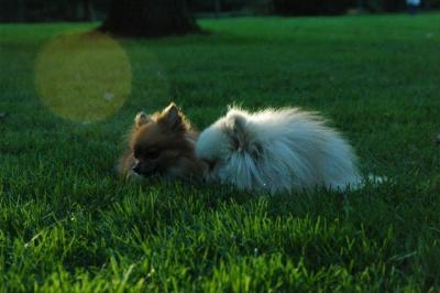 Sept10d_04_330.JPG