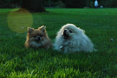 Sept10d_04_335.JPG