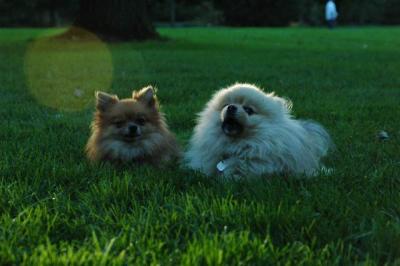 Sept10d_04_336.JPG