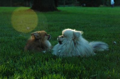 Sept10d_04_338.JPG
