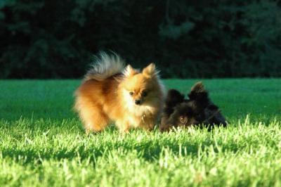 Sept10e_04_009.JPG