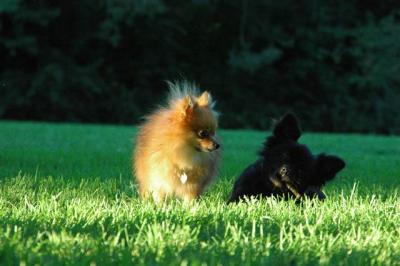 Sept10e_04_014.JPG