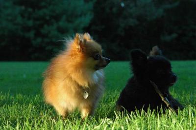 Sept10e_04_029.JPG