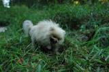 Sept10a_04_511.JPG