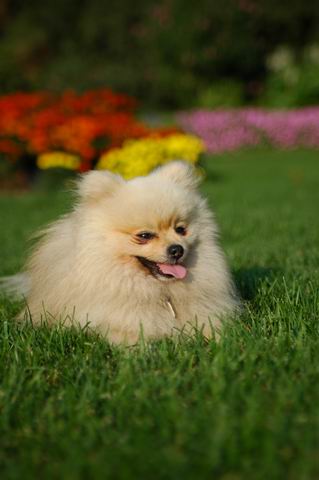Sept5_04_296.JPG