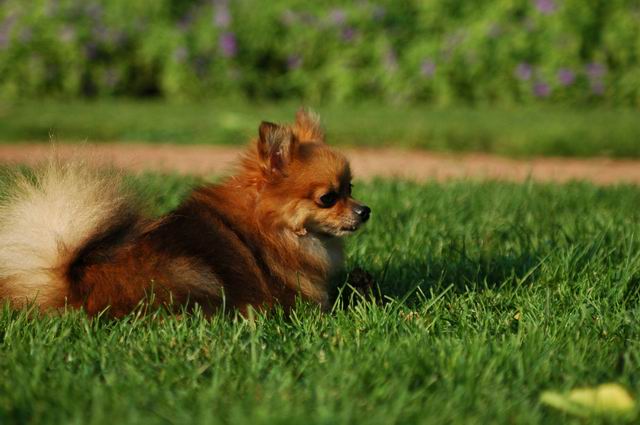 Sept5_04_624.JPG