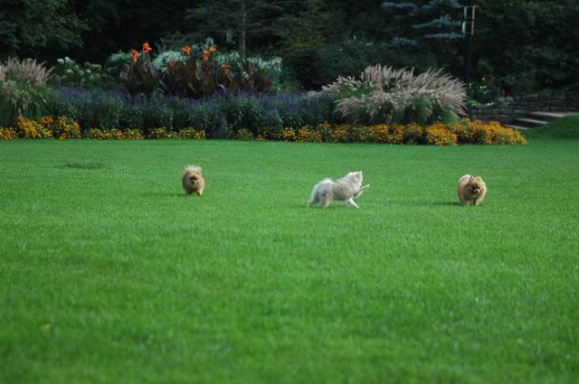 Sept5a_04_078.JPG