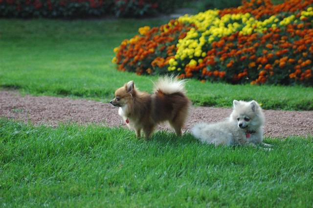 Sept5a_04_256.JPG