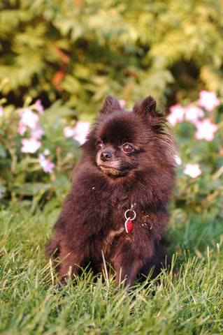 Sept5a_04_453.JPG