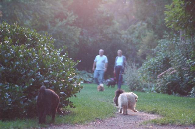 Sept5a_04_636.JPG