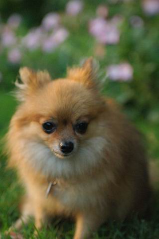 Sept5a_04_691.JPG
