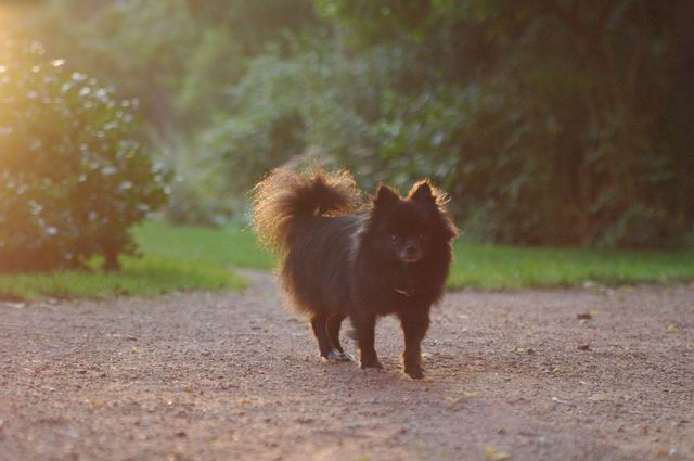 Sept5a_04_715.JPG