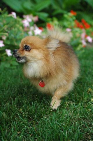 Sept5a_04_876.JPG