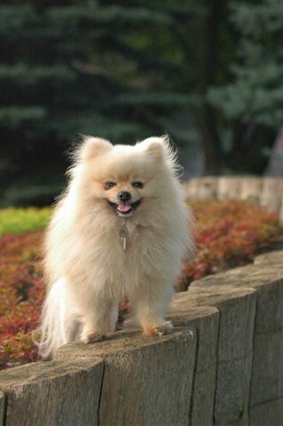 Sept5a_04_947.JPG