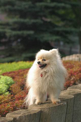 Sept5a_04_950.JPG