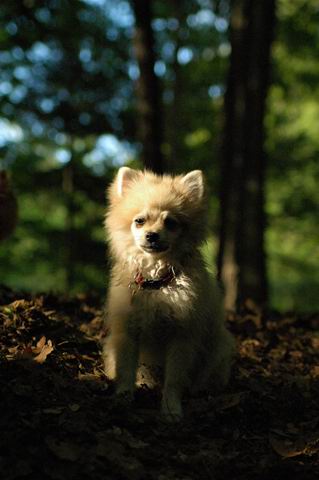 Sept6g_04_065.JPG