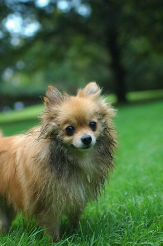 Sept6a_04_605.JPG