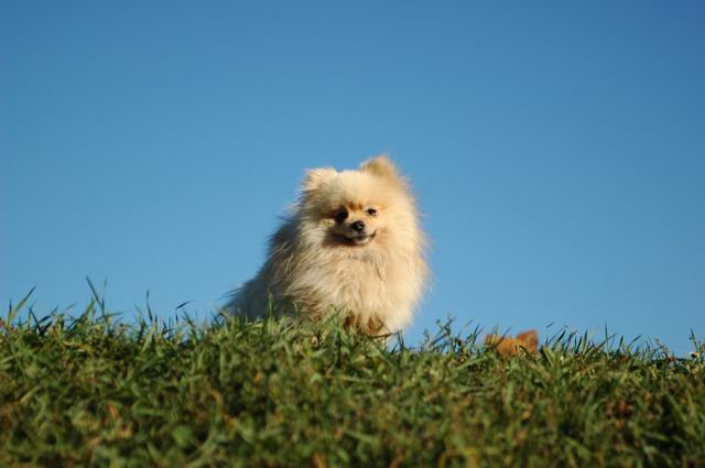 Sept19a_04_601.JPG