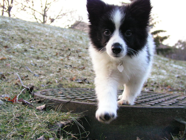 Jan14_05_007.JPG