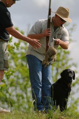 Port Arthur AKC JH Test 066