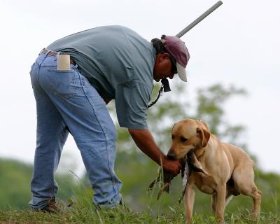 Port Arthur AKC JH Test 113