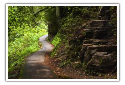  Path from Latourell Falls