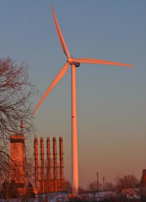u43/blownaway36/medium/40350370.OPGatWindmillatsunset.jpg