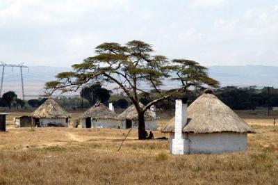 African huts