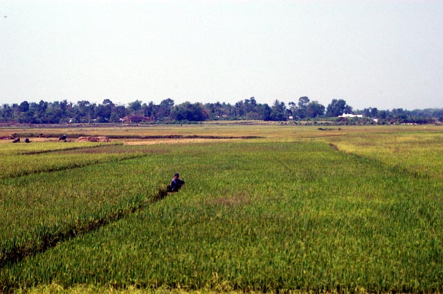 South Vietnamese countryside