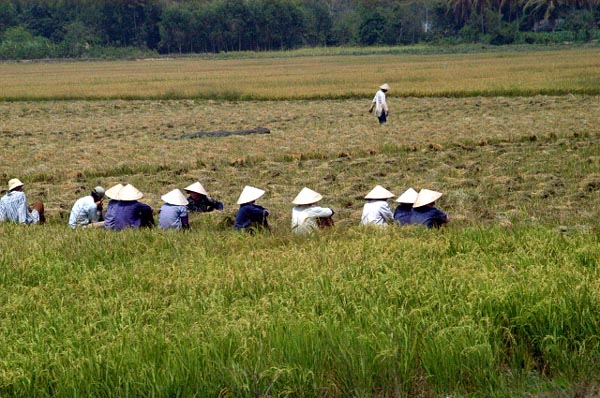 Farmers taking a break in the fields