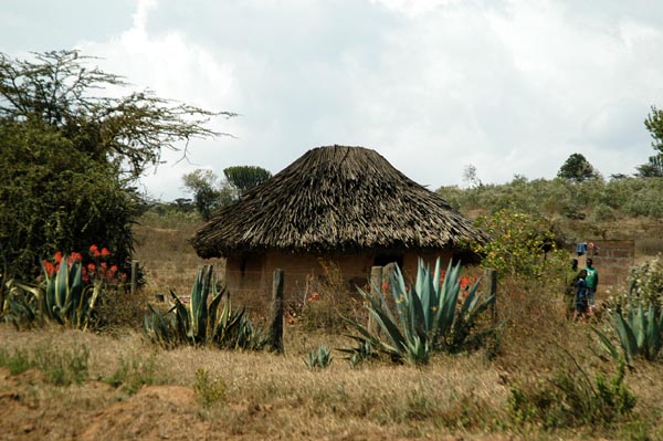 Small thatched hut