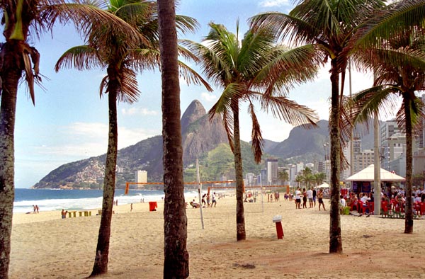 Palm trees on Ipanema Beach