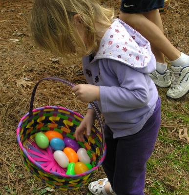egg search12