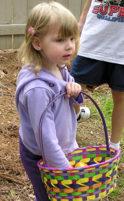 egg search13