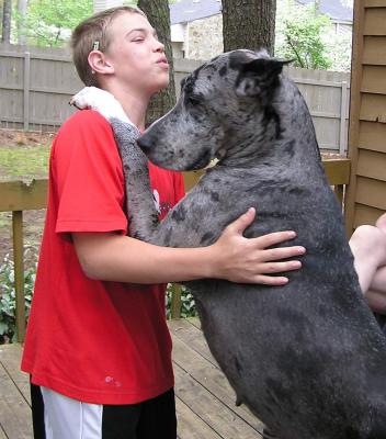 give me a kiss