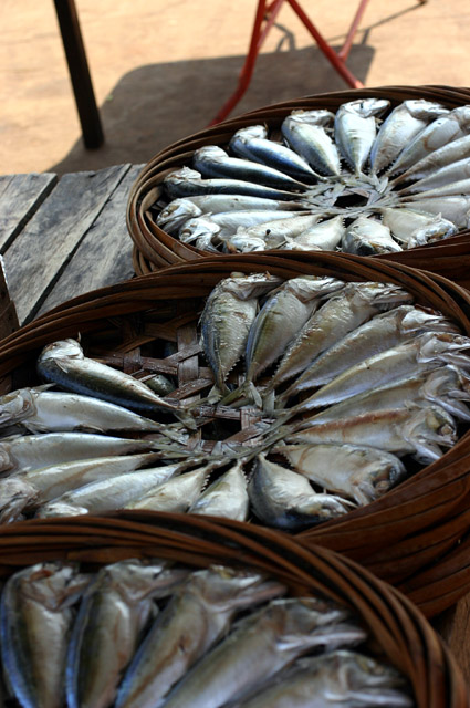 Dried fishes