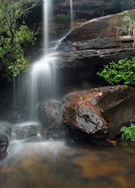 Temptation creek