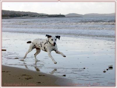 ROSIE at 13 years NOV2003