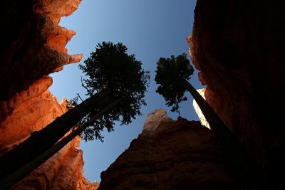 Evening Colors, Bryce Canyon