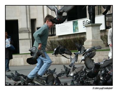 children like to scare the pigeons!