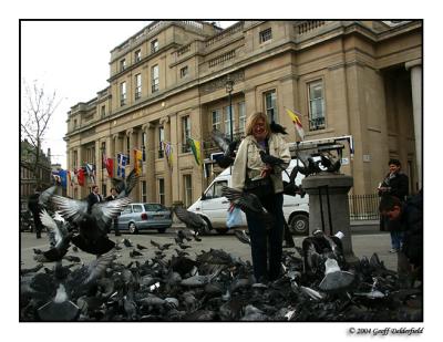 The pigeon woman