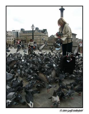 The pigeon woman